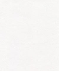 Ryder 206195 Blank Page