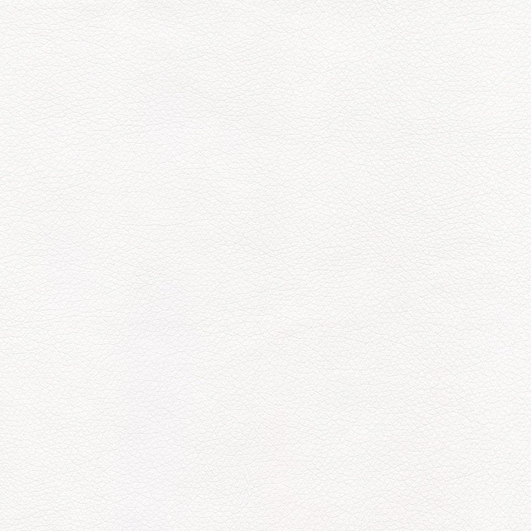 Ryder 206195 Blank Page