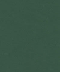 Ryder 206202 Seaweed