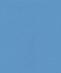 Ryder 206208 Blue Lagoon