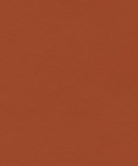 Ryder 206216 Burnt Orange