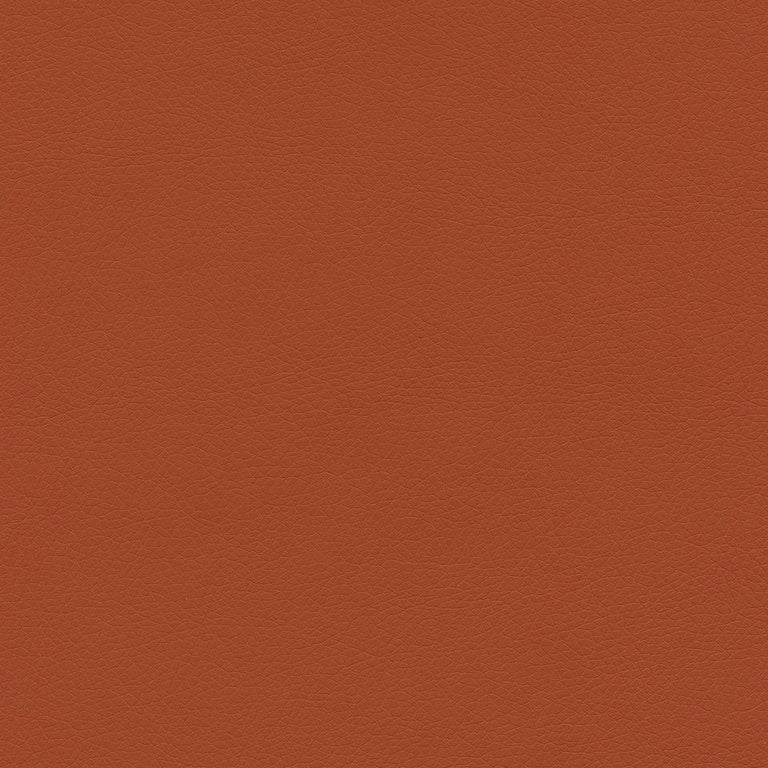 Ryder 206216 Burnt Orange