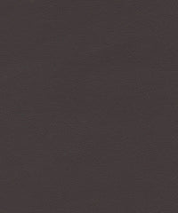 Ryder 206221 Dark Brown