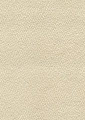 Saddle 206480 Natural Texture