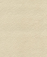 Saddle 206480 Natural Texture