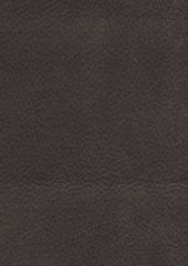 Saddle 206486 Racecourse