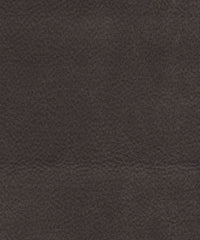 Saddle 206486 Racecourse