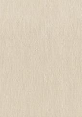 Saddleback Brushed Twill 702 Barley