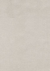 Saddleback Brushed Twill 703 Putty