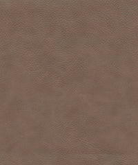 Safari 220552 Gicandi
