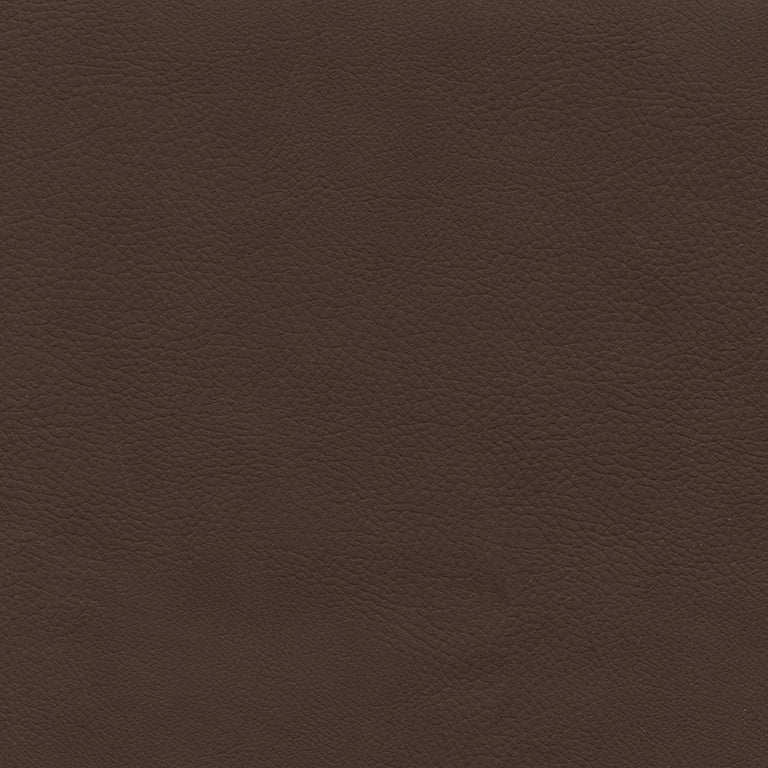 Safari 220553 Barracuda