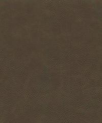 Safari 220556 Msitu