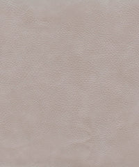 Safari 220558 Mamba