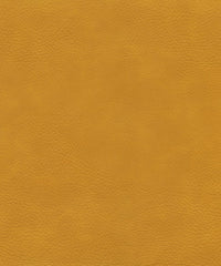 Safari 220564 Matoke