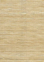 Sassafras 14018 Earth