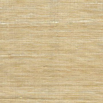 Sassafras 14018 Earth