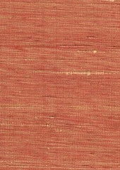 Sassafras 14028 Golden Rose