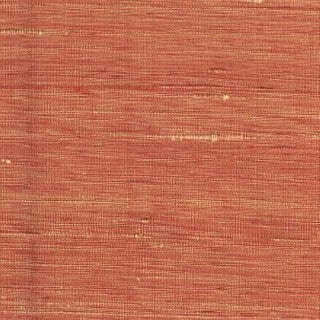 Sassafras 14028 Golden Rose