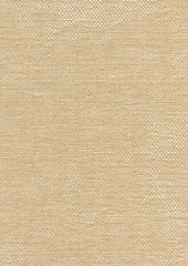 Satori 220201 Coastal