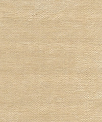 Satori 220201 Coastal