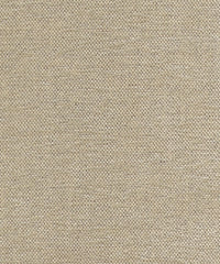 Satori 220202 Misty