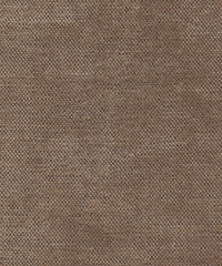 Satori 220205 Casca