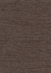 Satori 220208 Arabica