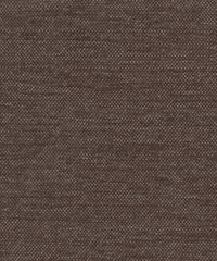 Satori 220208 Arabica
