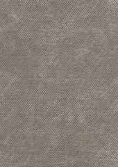 Satori 220209 Dapper