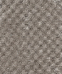 Satori 220209 Dapper