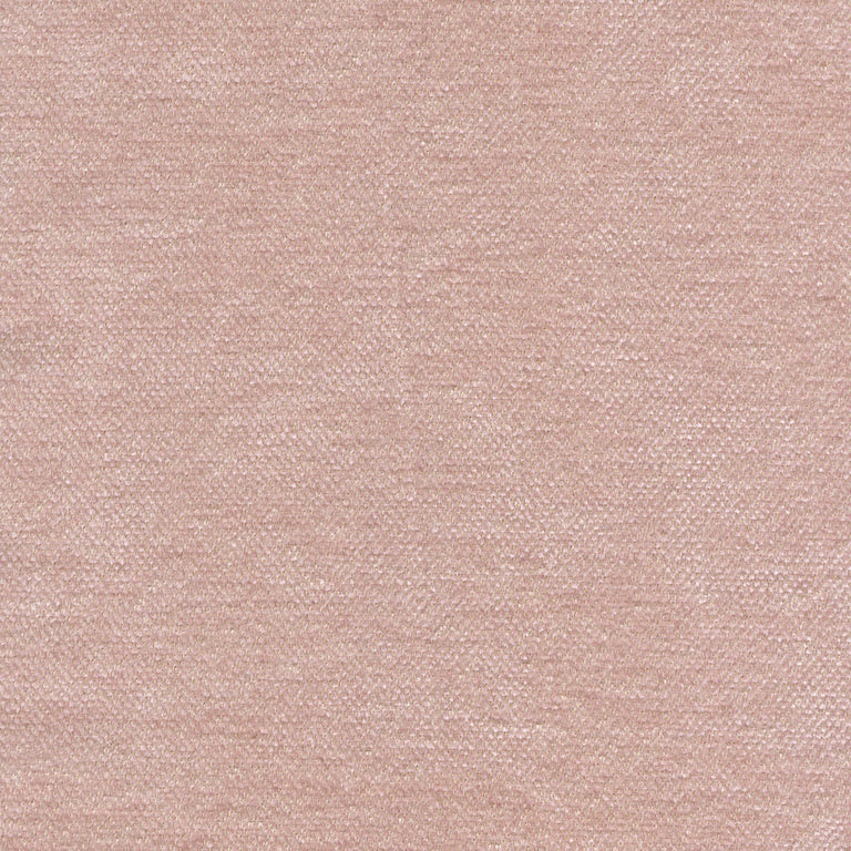Satori 220213 Charming