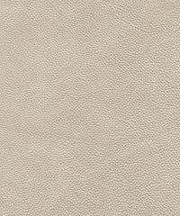 Shara Lx5133 Textured Mist