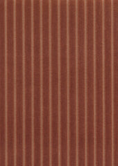 Stria 193608 Muse