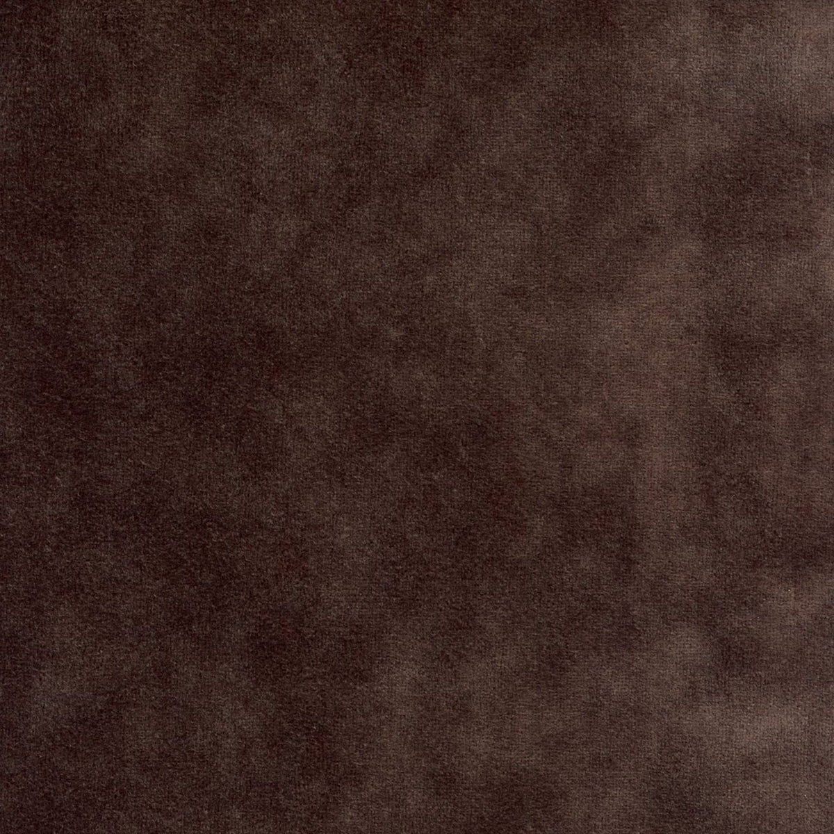DOLOMITES 196474 Carob