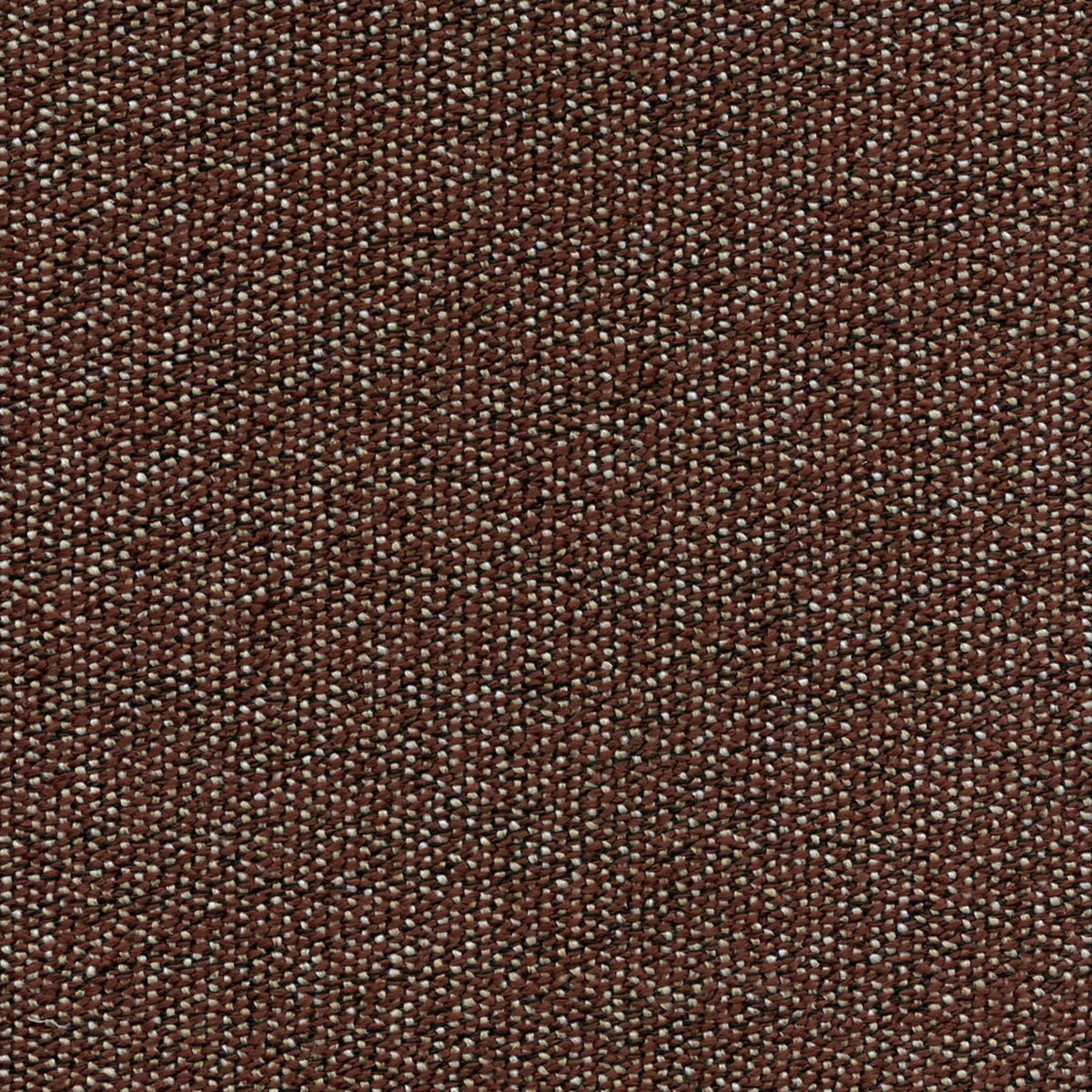 HIVE 196713 Sedra