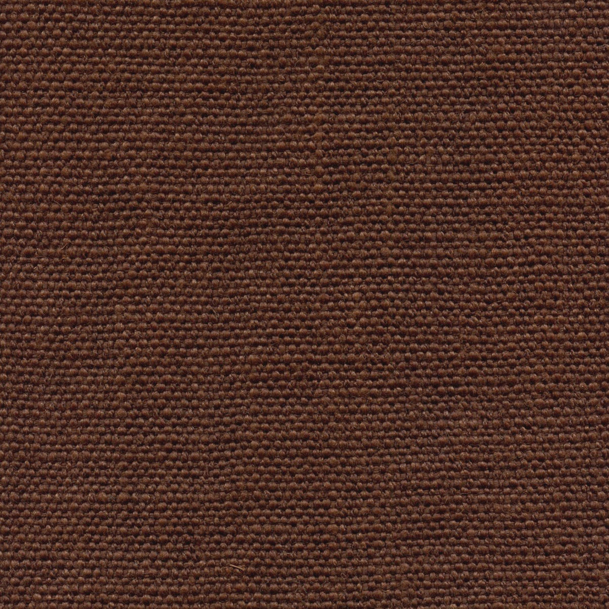 OSIER 196567 Dry Soil