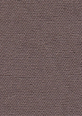 Sorrel 196860 Hemlock