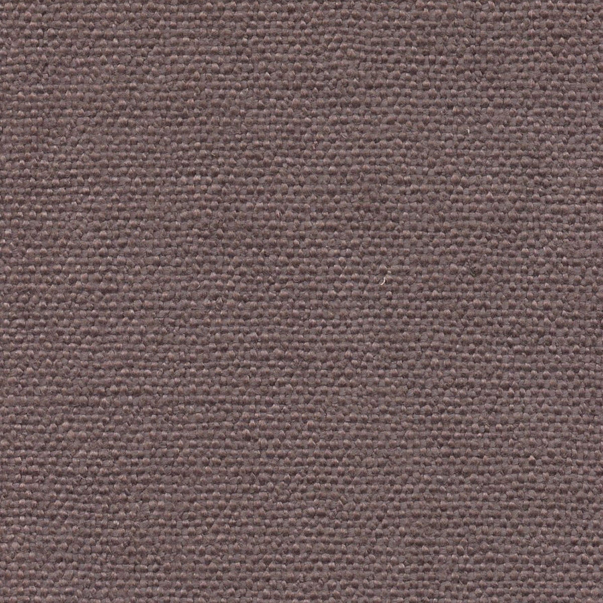 Sorrel 196860 Hemlock