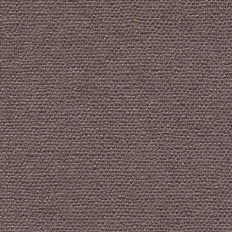 Sorrel 196860 Hemlock