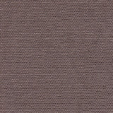 Sorrel 196860 Hemlock