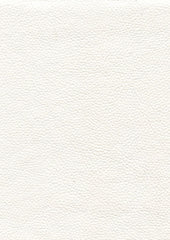Tadeo 206109 Chalk