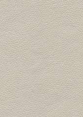 Tadeo 206110 Old White