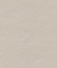 Tadeo 206110 Old White