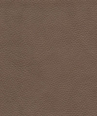 Tadeo 206112 Oat Biscuit