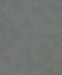 Tadeo 206117 Elephant Grey