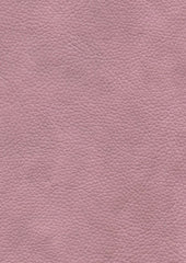 Tadeo 206118 Panache