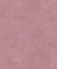 Tadeo 206118 Panache