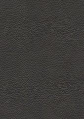 Tadeo 206121 Wrought Iron
