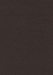 Tadeo 206124 Dark Wedge