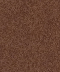 Tadeo 206126 Warm Sienna